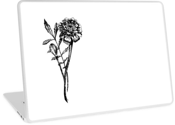 558x400 black and white marigold flower drawing laptop skins - Marigold Flower Drawing