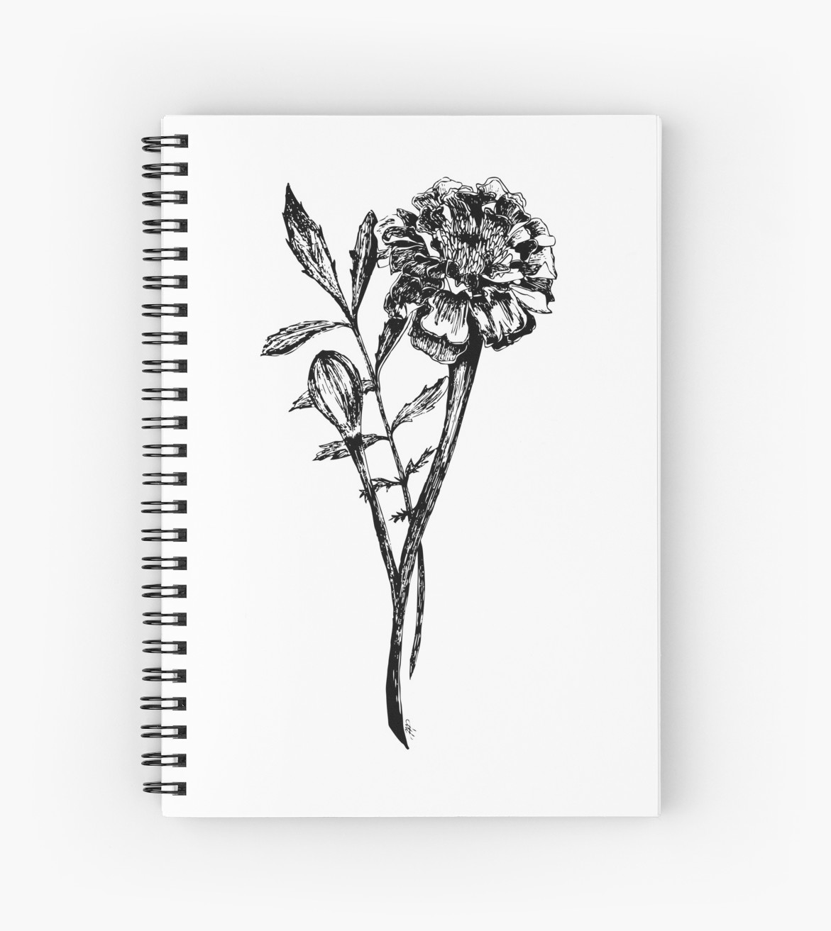 1171x1313 black and white marigold flower drawing spiral notebooks - Marigold Flower Drawing