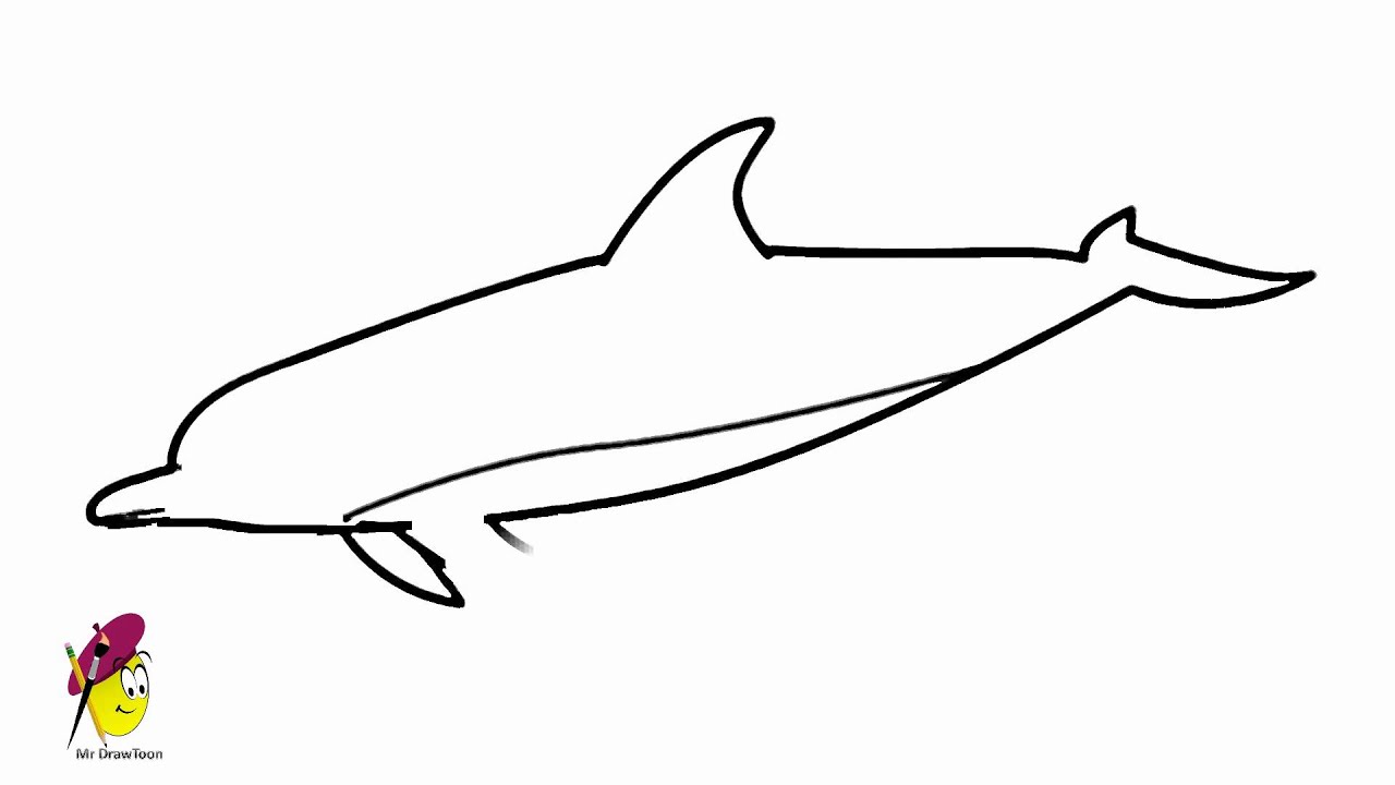 1280x720 Dolphin - Marine Animals Drawing