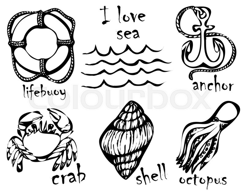 800x637 graphic drawings of marine animals stock vector colourbox - Marine Animals Drawing