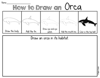350x271 How To Draw Ocean Animals Writing Center And Directed Drawings Tpt - Marine Animals Drawing