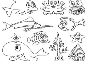 300x210 marine animals drawing draw five how to draw ocean animals - Marine Animals Drawing