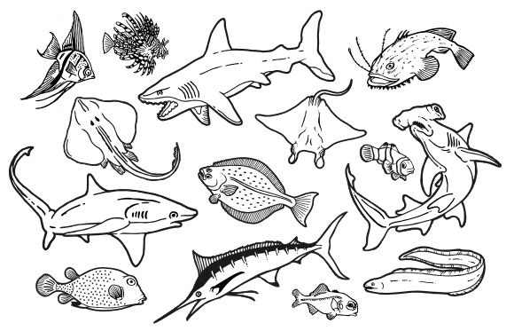 580x373 Ocean Animals Coloring Page - Marine Animals Drawing