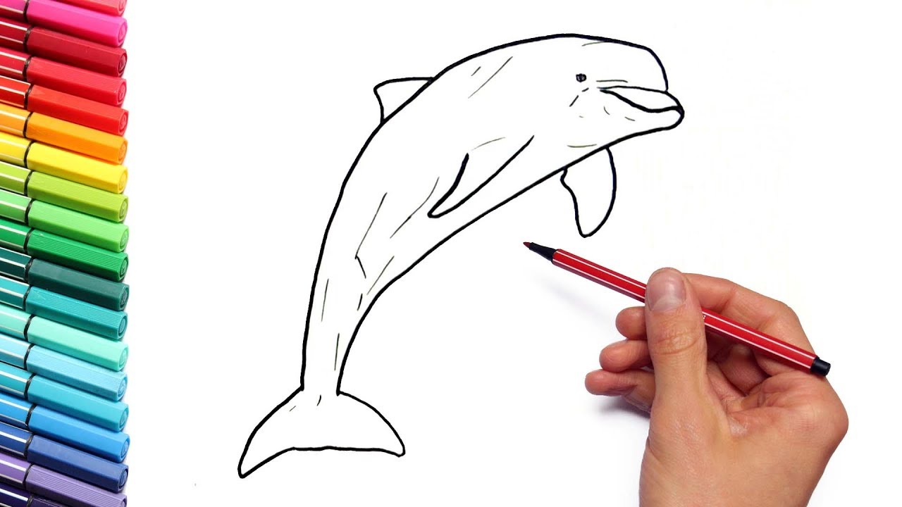 1280x720 Sea Animal Color Pages For Kids Dolphin - Marine Animals Drawing