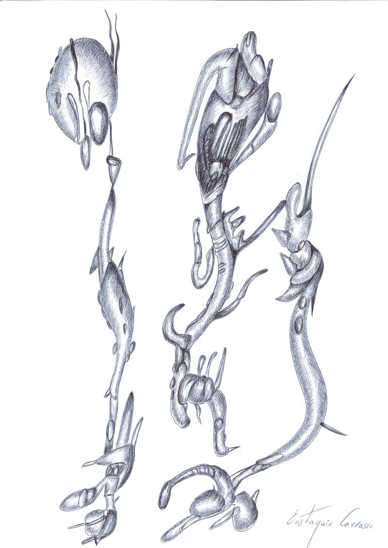 770x1088 three strangers marine animals drawing - Marine Animals Drawing