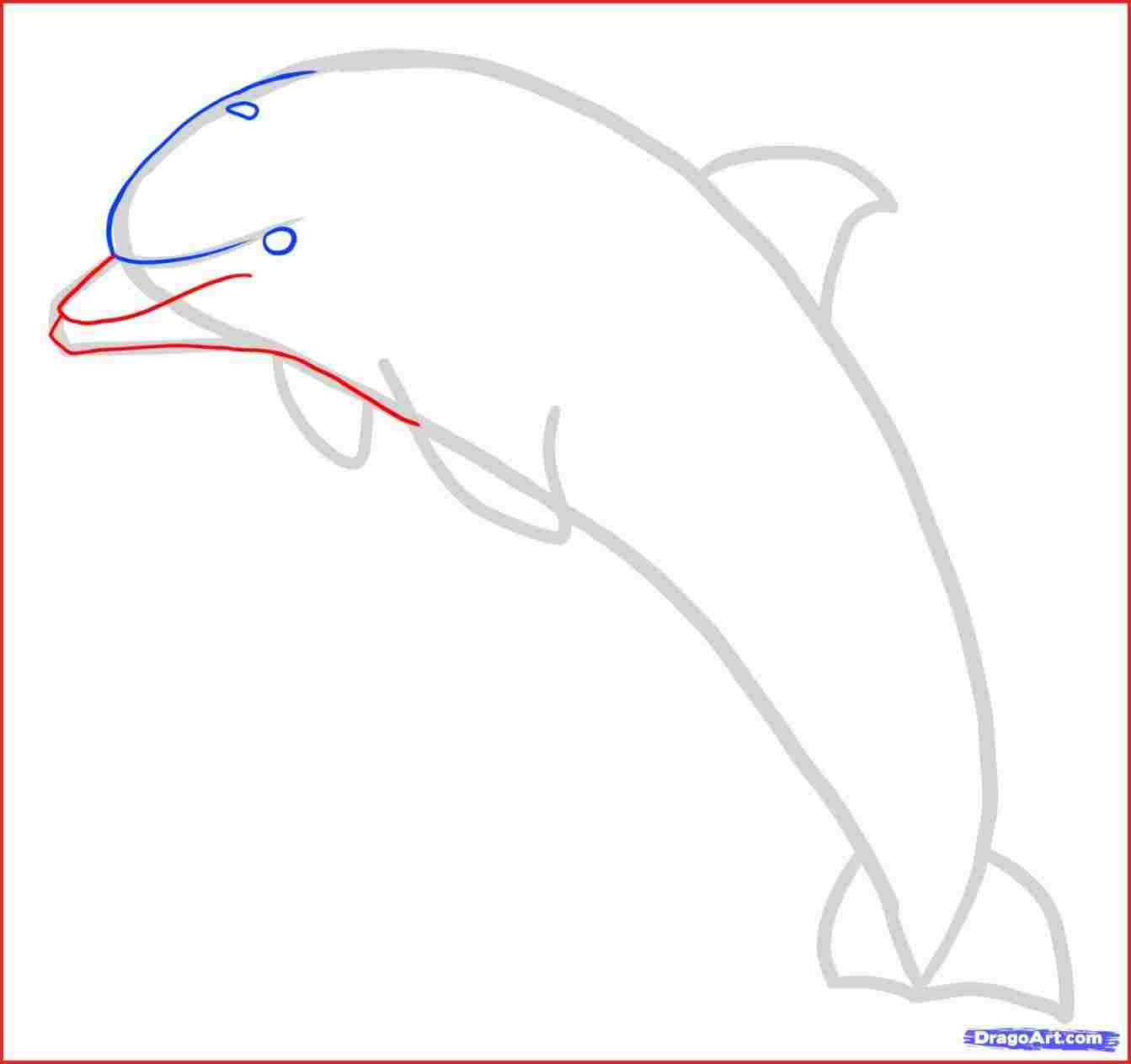 1343x1263 Ocean Drawing Pictures Of Sea Animals Animal Coloring Pages Marine - Marine Animals Drawing