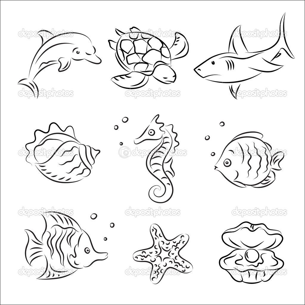 1024x1024 Sea Life Drawing - Marine Animals Drawing
