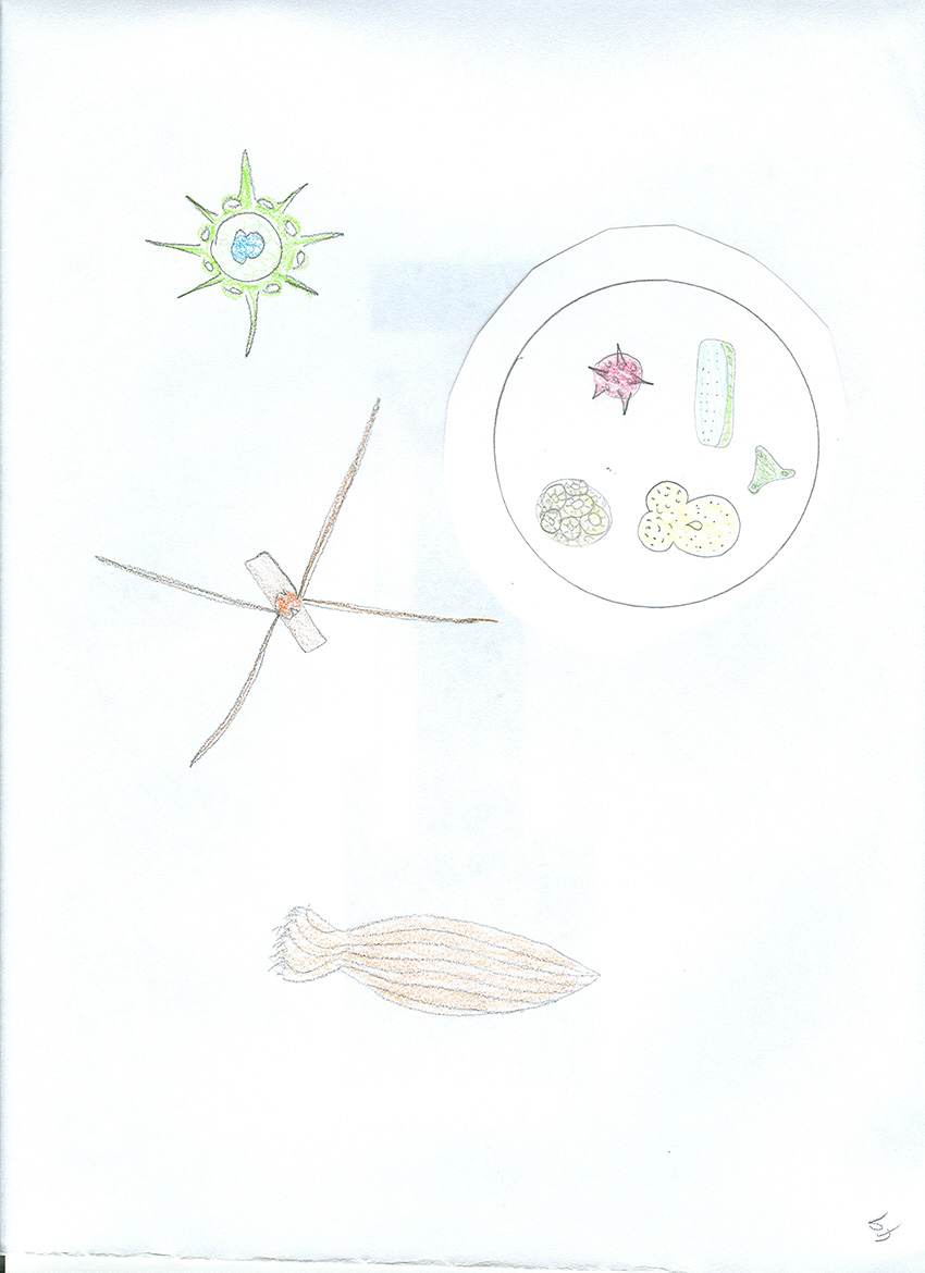 850x1170 geology program - Marine Drawings