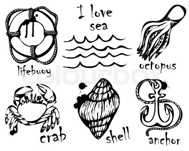 800x637 Graphic Drawings Of Marine Animals Stock Vector Colourbox - Marine Drawings