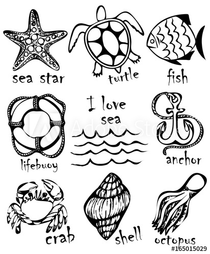 412x500 graphic drawings of marine animals imitation of graphic drawings - Marine Drawings
