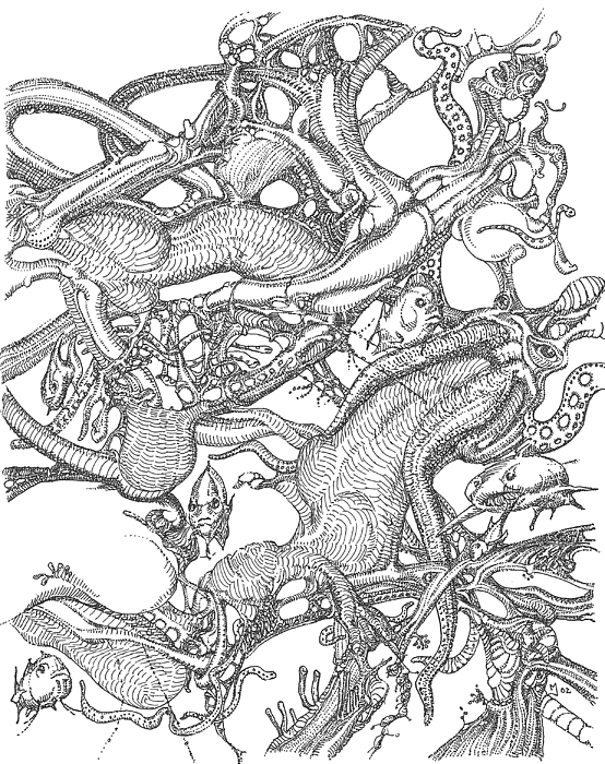 554x700 Marine Life Drawing - Marine Drawings