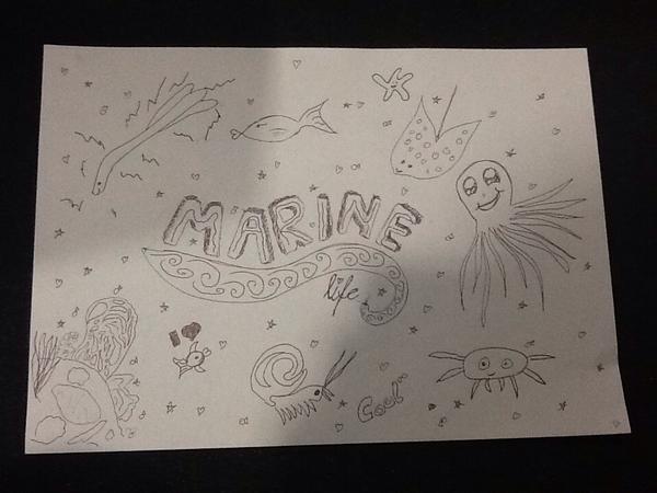 600x450 Marine Science Sa On Twitter We Love Fish Too! Great - Marine Drawings