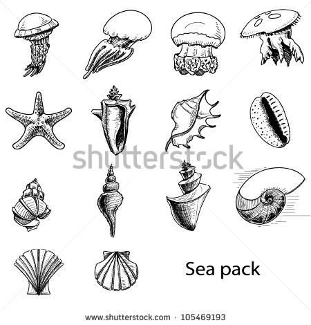 450x470 Ocean Drawings Free - Marine Ecosystem Drawing
