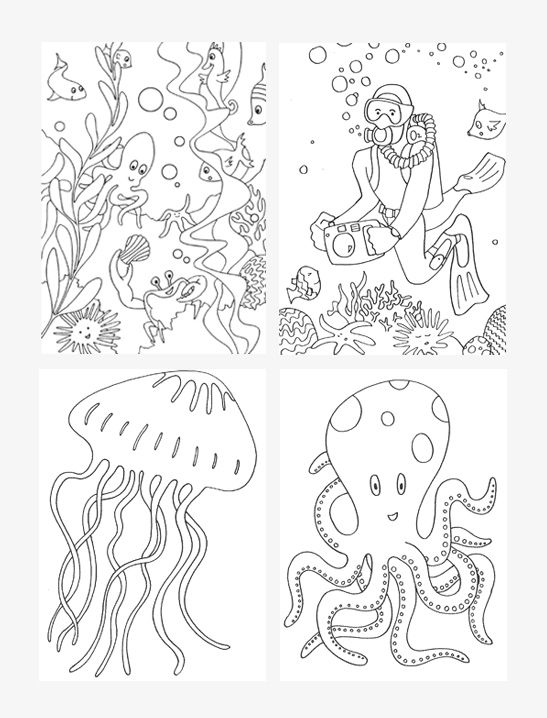 547x718 Aquarium Drawing Marine Ecosystem For Free Download - Marine Ecosystem Drawing