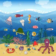 224x225 best gr sea drawing images ocean crafts, sea crafts, coral - Marine Ecosystem Drawing