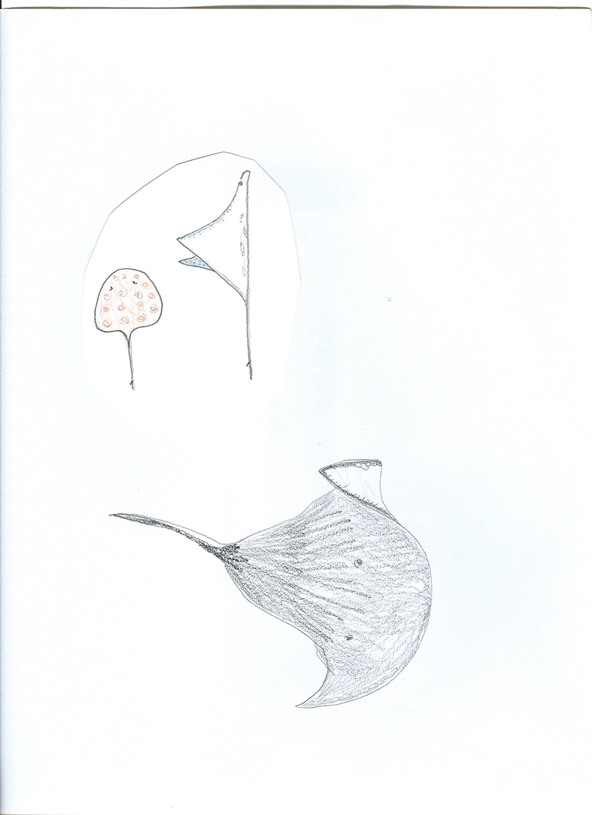 850x1170 geology program - Marine Life Drawing