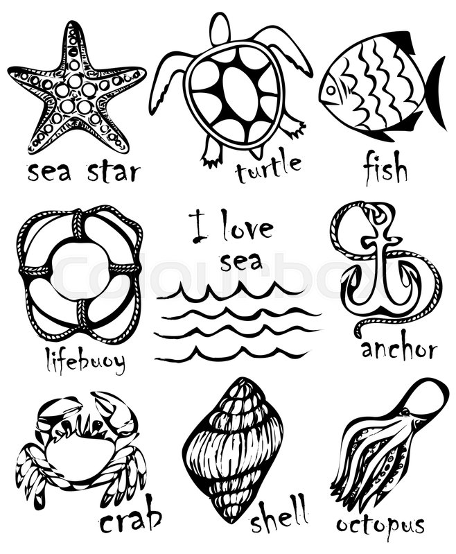 658x799 Graphic Drawings Of Marine Animals Stock Vector Colourbox - Marine Life Drawing