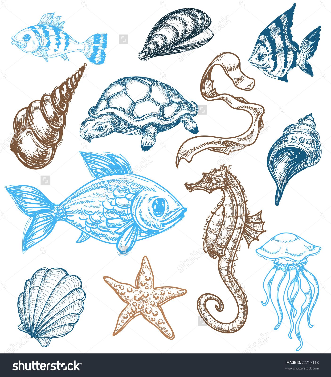 1405x1600 Marine Life Drawing Stock Vector Illustration - Marine Life Drawing