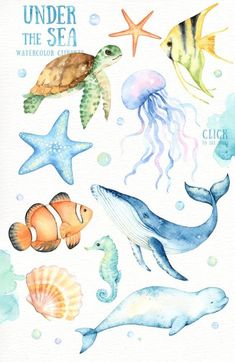 235x362 Marine Life Drawing Art Sea Creatures Drawing, Life Drawing - Marine Life Drawing