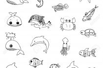 210x140 Tag Marine Life Drawing Images - Marine Life Drawing