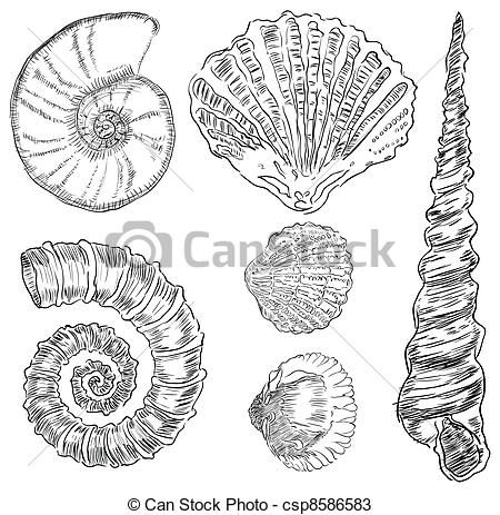 450x463 Marine Life Drawing - Marine Life Drawing