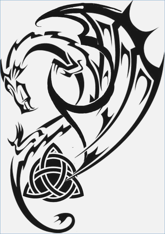 555x783 Celtic Dragon Drawing - Marine Symbol Drawing