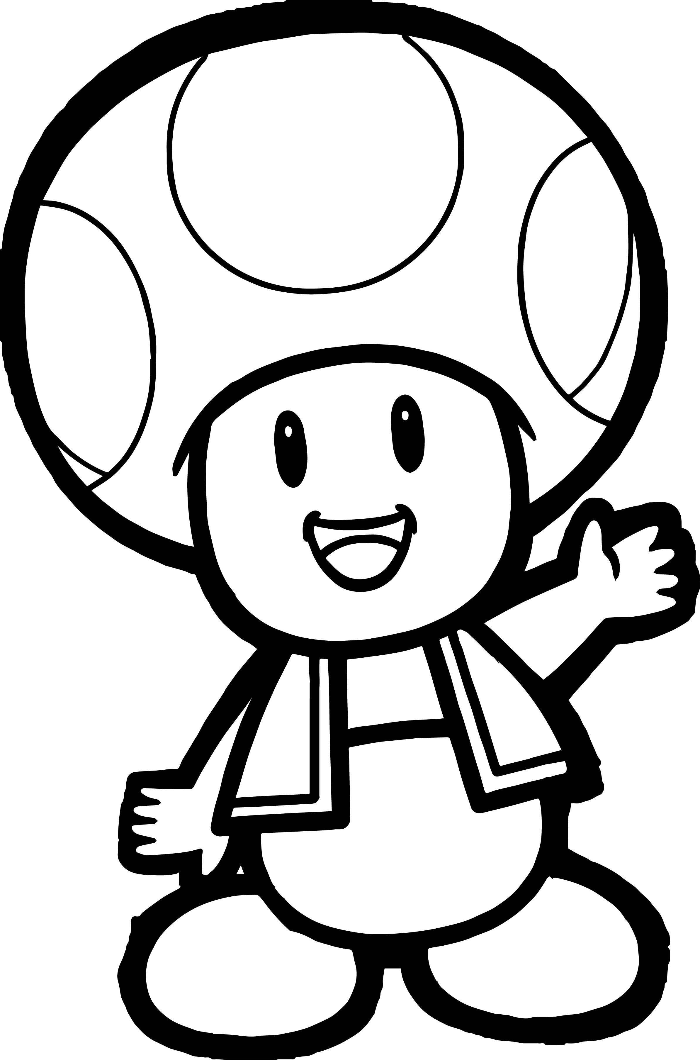 2388x3615 Toad Drawing Mushroom For Free Download - Mario Mushroom Drawing