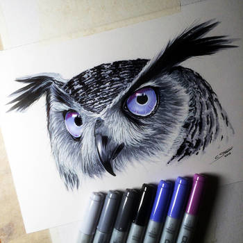 350x350 Owl Copic Marker Drawing - Marker Drawings