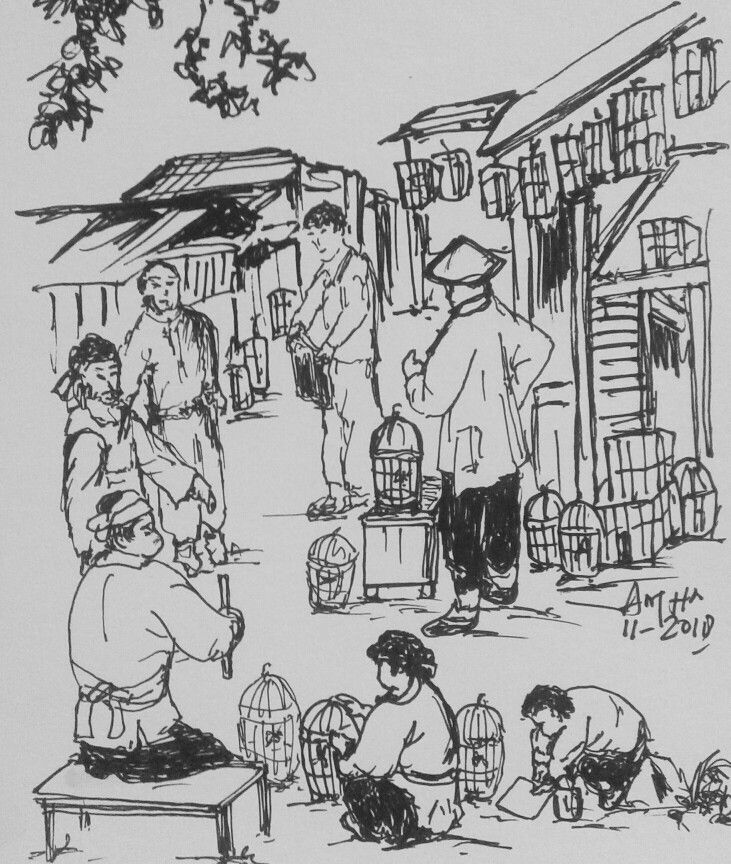 731x864 Bird Market - Marketing Drawing