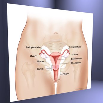 345x345 Second Life Marketplace - Marketplace Drawing