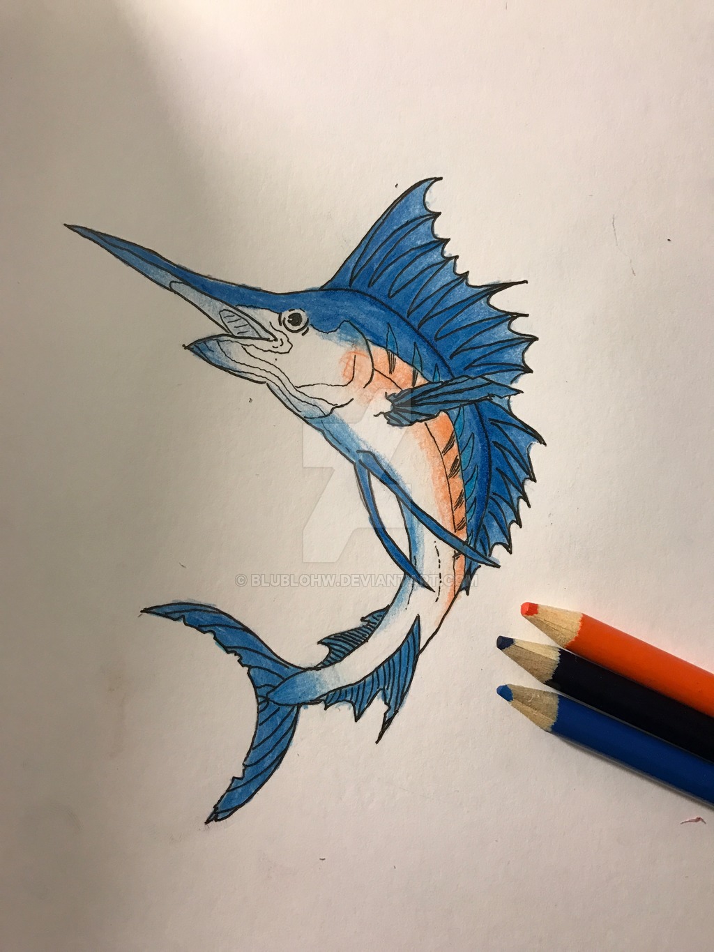 1024x1365 blue marlin drawing - Marlin Drawing