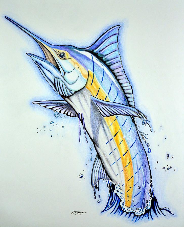 728x900 the marlin drawing - Marlin Drawing