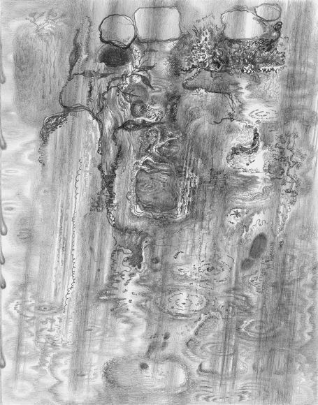 455x580 joshua marsh - Marsh Drawing