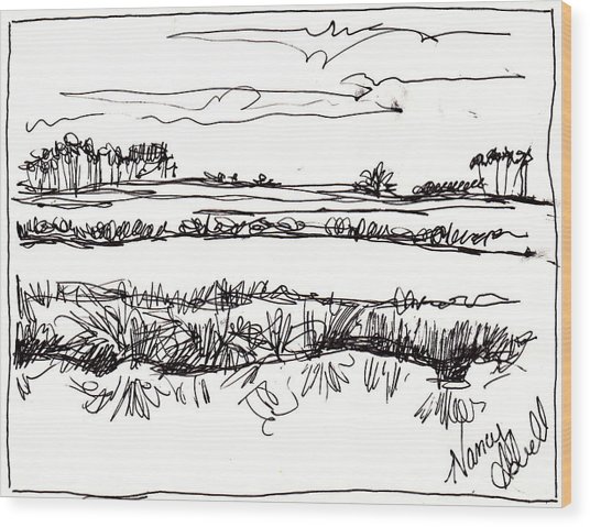 536x479 marsh drawing - Marsh Drawing