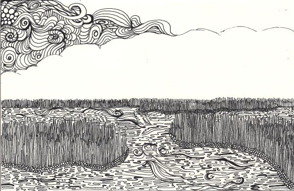 600x391 quilted delights marsh drawing - Marsh Drawing