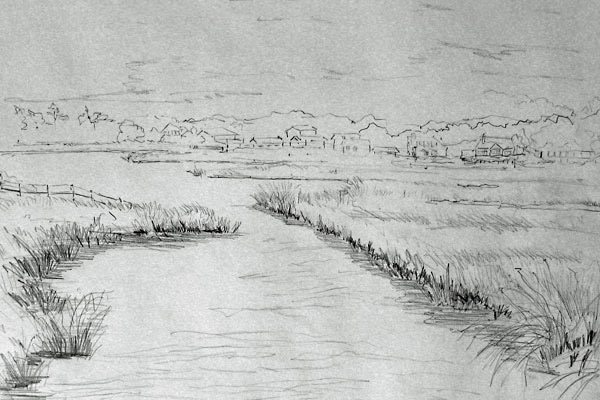 600x400 salt marsh a breath of salt air art blog - Marsh Drawing