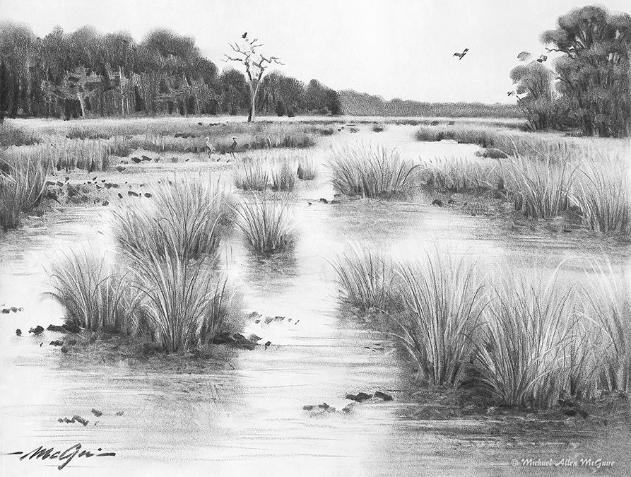 Marsh Drawing at Explore collection of Marsh Drawing