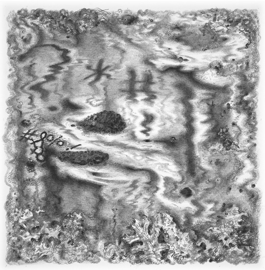 540x550 joshua marsh drawings - Marsh Drawing