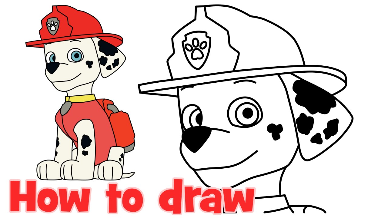 1280x720 How To Draw Marshall Paw Patrol Characters Step - Marshall Paw Patrol Drawing