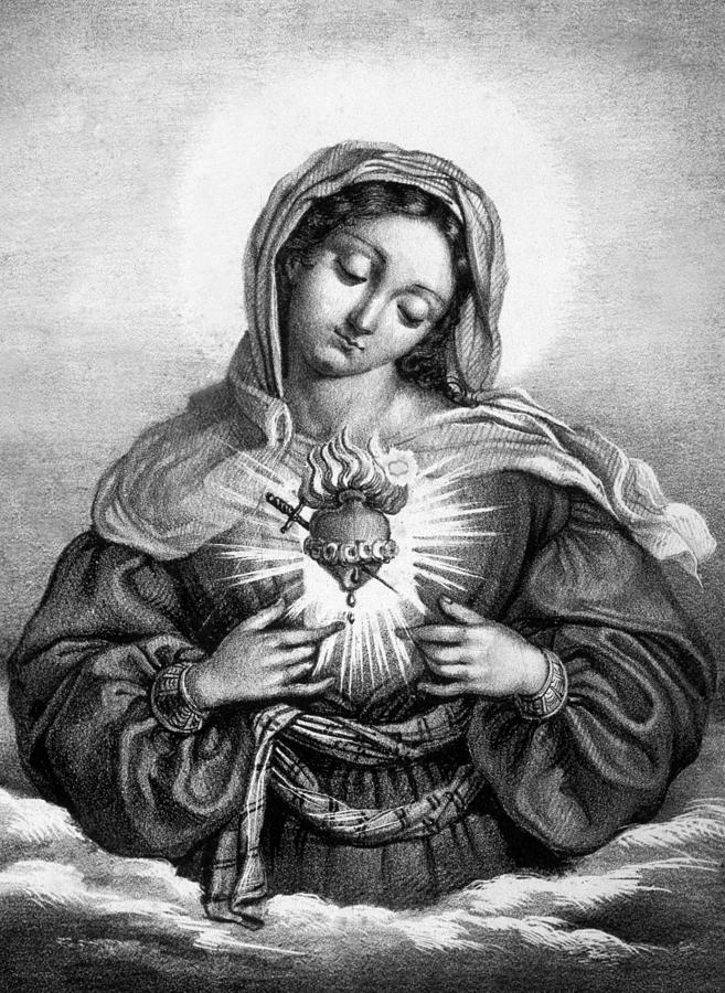 657x900 The Sacred Heart Of Mary Drawing - Mary Drawing