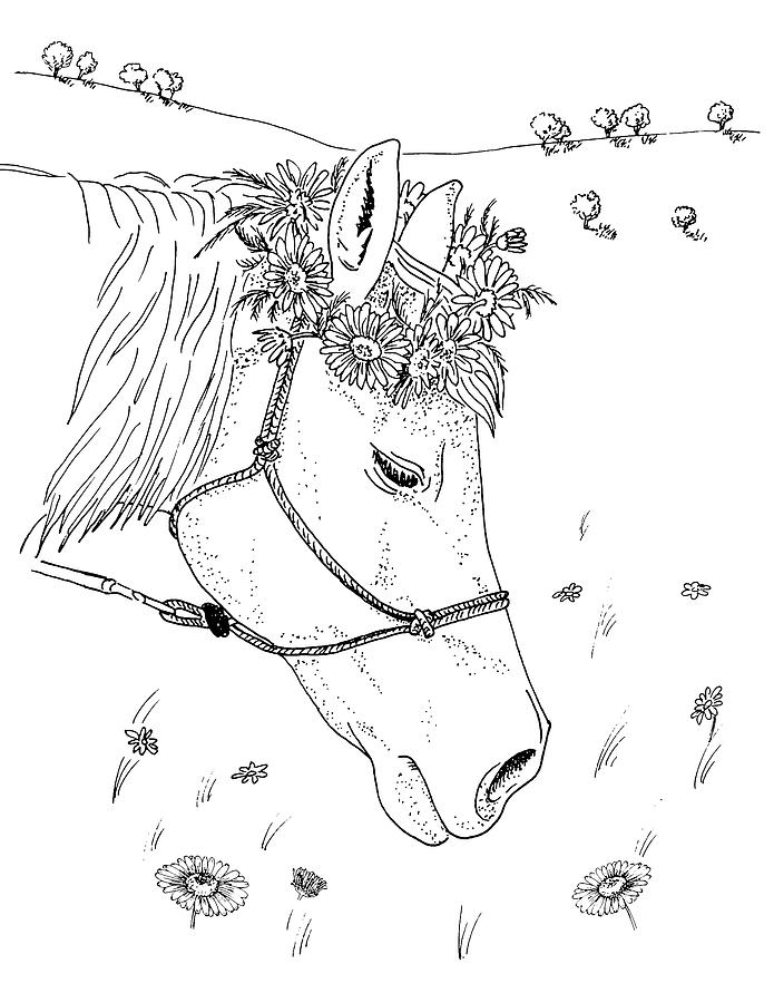 695x900 Horse With A Daisy Wreath Drawing - Masha Drawing