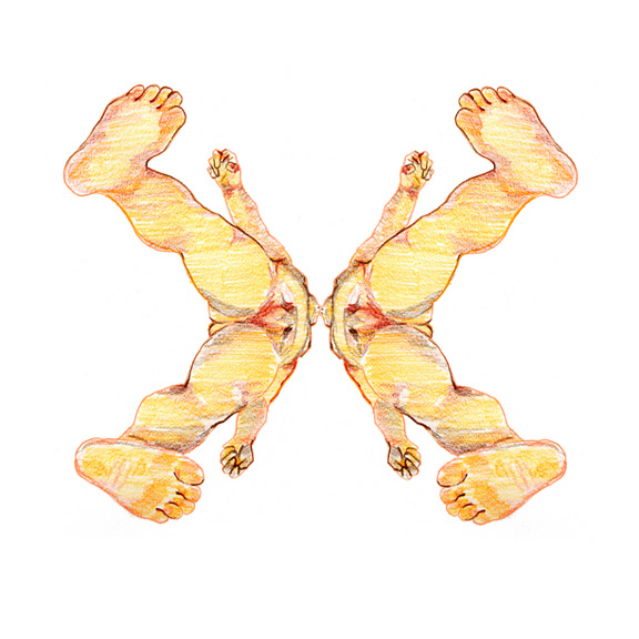 576x576 Mask Drawing Full - Mask Drawing