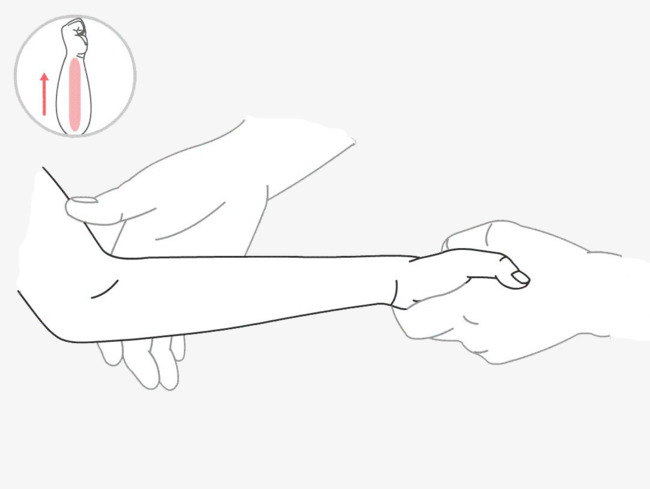 650x489 massage the arm, arm clipart, line drawing, massage png image - Massage Drawing
