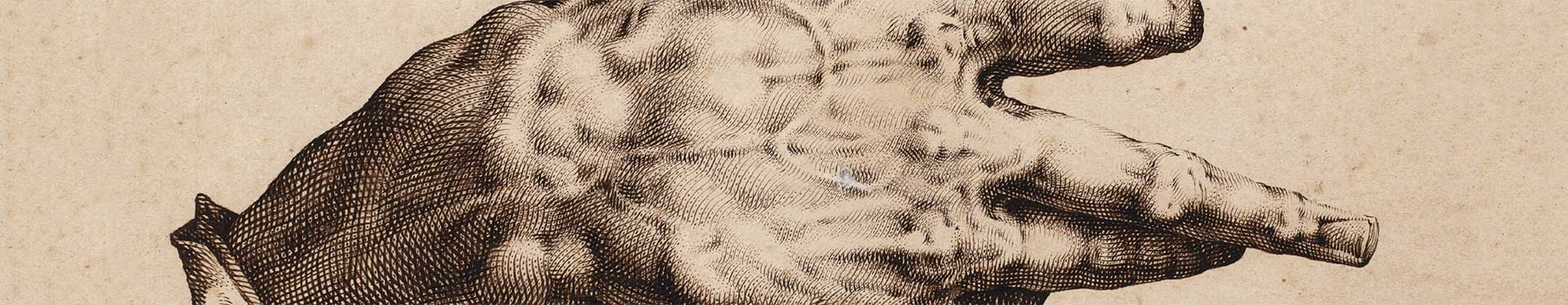 1920x374 Old Master Drawings Christie - Master Drawings