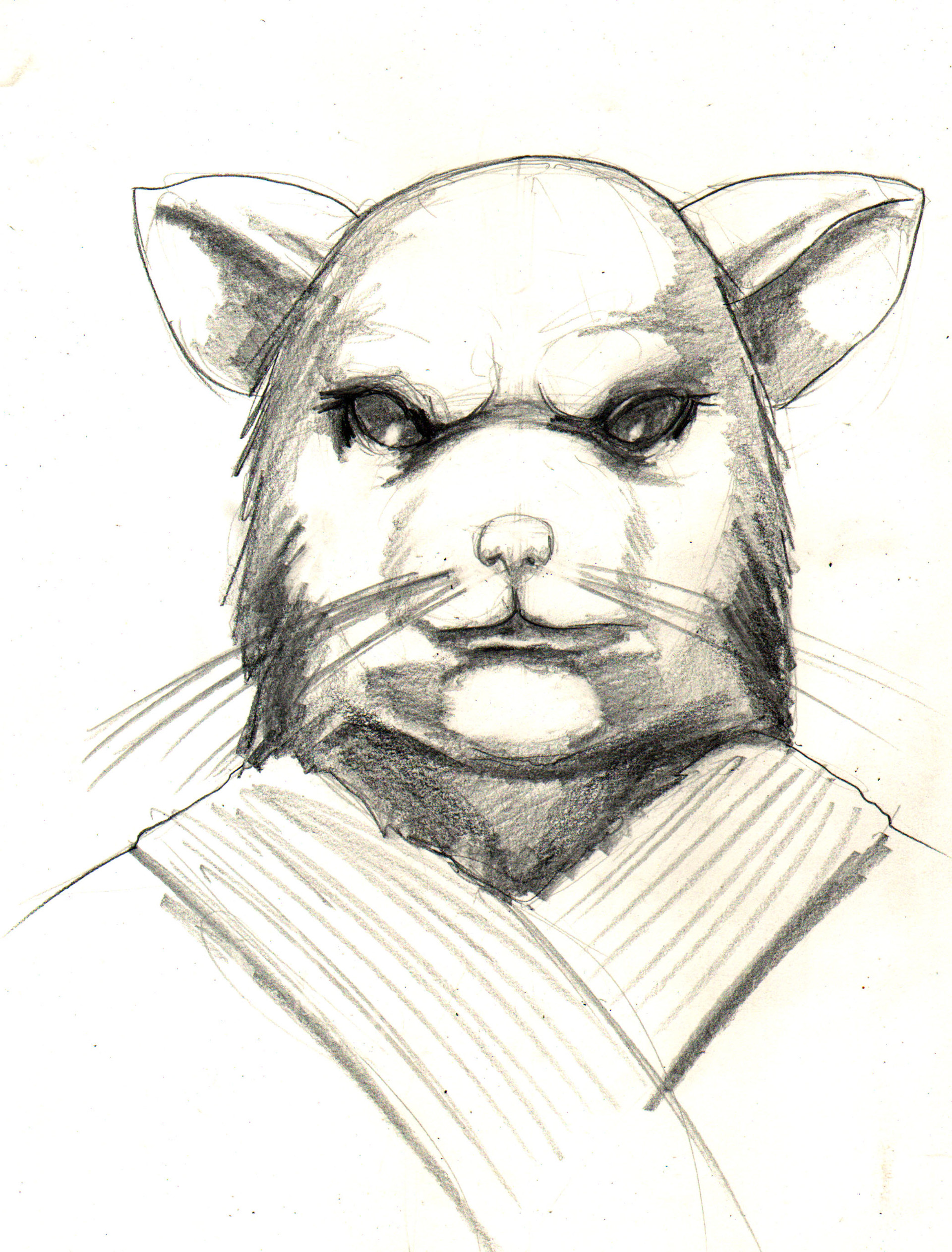 Master Splinter Drawing at Explore collection of