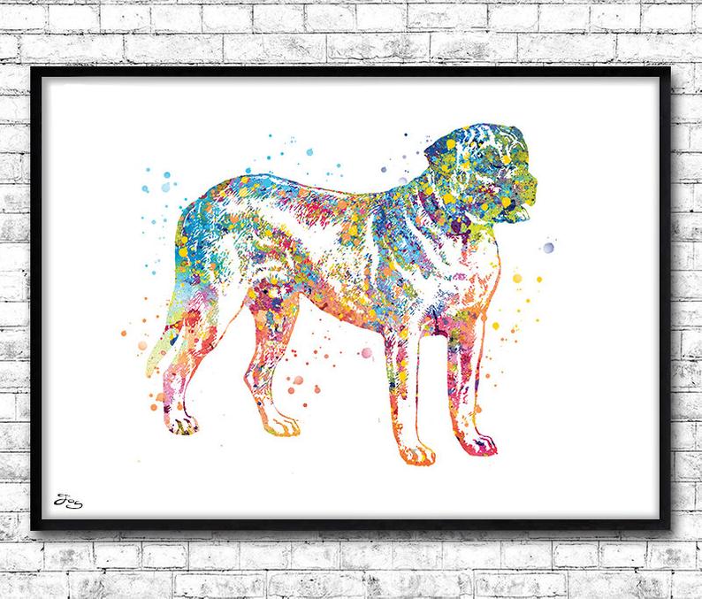 794x677 Mastiff Drawing Dog Watercolor Animal Illustration Wall Etsy - Mastiff Drawing