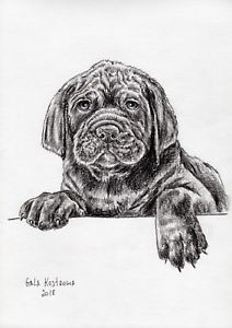 212x300 Puppy Original Gala Kostroma Pencil Dog Drawing Pet Animal Mastiff - Mastiff Drawing