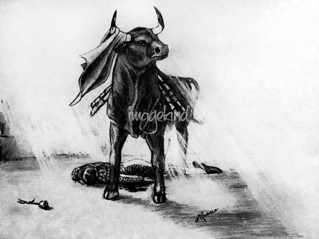 650x488 Stunning Matador Drawings And Illustrations For Sale On Fine Art - Matador Drawing