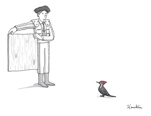 600x462 A Matador Provokes A Red Headed Woodpecker Art Print - Matador Drawing