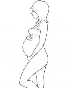 231x302 Pregnancy Drawings - Maternity Drawings